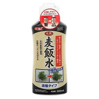 ジェックス ＧＥＸ　天然麦飯水　３００ｍｌ 331462 1個（直送品）