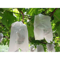 柴田屋加工紙 柴田屋 ぶどう用果実袋