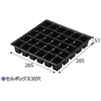 富川化学工業 セルボックス 30穴 10枚組21010571組(10枚入）（直送品）