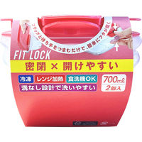 エビス パックスタッフ フィットロック 700ml 4901221530900 1セット(2個入×24点セット)（直送品）