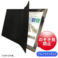 サンワサプライ 2WAY覗き見防止フィルム（iPad Pro 10.5インチ対応） LCD-ZE2LN105IPADP 1枚（直送品）