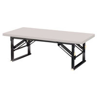 【軒先渡し】ニシキ工業 折り畳み座卓テーブル 高さ330mm AZP-D T