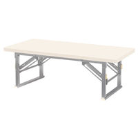 【軒先渡し】ニシキ工業 折り畳み座卓テーブル 幅1200×奥行450×高さ330mm　 アイボリー AZP-S1245T-IV 1台（直送品）