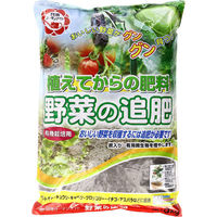 日清ガーデンメイト 野菜の追肥 3kg 4560194954054 1袋(3kg入)（直送品）