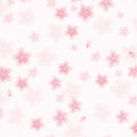 TTK  a ˔ 49-1510 1(50×10)iij