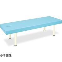 高田ベッド製作所 有孔カバーリングDX 幅50×長さ170×高さ45cm ライトグリーン TB-1497U 1個 65-8591-96（直送品）