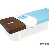 高田ベッド製作所 カバーリングレザー 幅50×長さ170×高さ40cm 白 TB-1503 1個 65-8600-44（直送品）