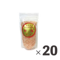 ティーエスケー 業務用 アンデスの紅塩