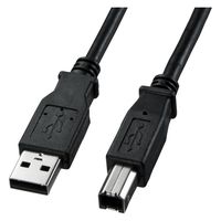 サンワサプライ USB2.0ケーブル（ブラック・3m） KU20-3BKK2 1本（直送品）