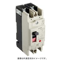 三菱電機 配線用遮断器 NF32-SV 2P 10A 1個（直送品）