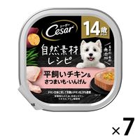 シーザー 犬 自然素材レシピ 14歳からの平飼いチキン＆さつまいも・いんげん 85g 7個 ドッグフード ウェット