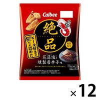 絶品かっぱえびせん 花藻塩と燻製唐辛子味 60g 12袋 カルビー スナック菓子 おつまみ