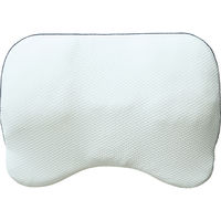 昭和西川 ギガ枕EX 23-0180-019 1箱（直送品）