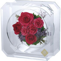 アートプリントジャパン カットガラス正方形 Mサイズ 23-0259-082 1箱（直送品）