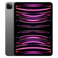 iPad Pro 11インチ M4チップ 256GB スペースグレー 11インチiPad Pro Wi-Fi 256GB - スペースグレイ（第4世代