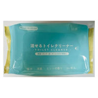 ペーパーテック 流せる除菌ミントのトイレクリーナー 4580131778529 1個(24枚)