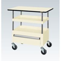 CSパールワゴン(中量タイプ/均等耐荷重130kg/ポリエステル天板/サイレントエラストマー車/H760mm/2段+天板付/移動式/引出し・（直送品）
