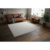 【アウトレット】スミノエ 防炎 防ダニ ラグ ジップスコット 190×240cm アイボリー 4549781294865 1枚