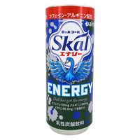 南日本酪農協同 スコールエナジー 250ml×10個 4902986512941（直送品）