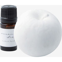 C aroma stone 񂲃Zbg 19835 1iij