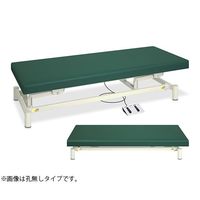 高田ベッド製作所 有孔低床電動ハイロー 幅60×長さ190×高さ30~68cm ライムグリーン TB-1151U 1個 63-4414-91（直送品）
