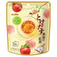 名糖産業 とけだす果実の紅茶アップル&ピーチ 5パック（5本入×5）