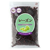 共立食品 レーズン徳用580g 5袋