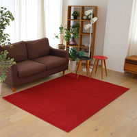 スミノエ コンシェルジュ オーダーラグ バンジュール 3400×2550mm レッド AS-BJ109-RED340255 1枚（直送品）