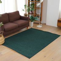 スミノエ コンシェルジュ オーダーラグ バンジュール 3200×4200mm グリーン AS-BJ111-GN320420 1枚（直送品）