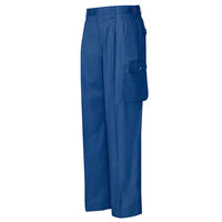 アイトス カーゴパンツ（2タック） ブルー 85cm AZ-5324-006 1着（直送品）