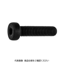 ファスニング J 六角穴付ボルト ローヘッドCAP 5 X 45 A000L0000050045000 1箱（200個）（直送品）