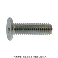 ファスニング J ニッケル +チョウテイトウネジ(AHN3 3 X 5 0000A0000030005005 1箱(2000個)（直送品）