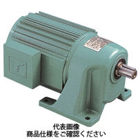 椿本チエイン ギヤモートル TAシリーズ(三相200V) GMTA040ー24L20B 1個（直送品）