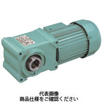 シグマー技研 シグマー 直交軸脚取付形減速機 三相0.4KW 減速比1/160 ブレーキ付 TMHLB-04-160A 1台（直送品） - アスクル