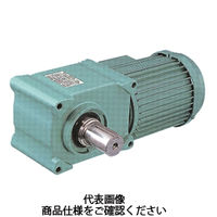 椿本チエイン ハイポイドモートル TAシリーズ(三相200V) HMTA010ー38U720T 1個（直送品）