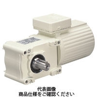 椿本チエイン ハイポイドモートル ミニシリーズ(単相100V) HMMS40L120LB 1個（直送品）