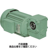 椿本チエイン クローゼモータ HCMA020ー160H75B 1個（直送品）