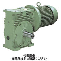 椿本チエイン ウォームパワードライブ EWMシリーズ(モータ付) EWM80V1000RーLU020SB 1個（直送品）