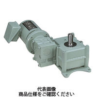 椿本チエイン ウォームパワードライブ EWMシリーズ(モータ付) EWM150B3000LーH040S 1個（直送品）