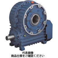 椿本チエイン トロイドライブ TDシリーズ TD150H10VRF 1個（直送品）