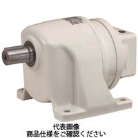 椿本チエイン サーボモータ用 TERVO減速機(ヘリカルギヤヘッド) GMTK0228L200ーE4DC GMTK0228L200-E4DC 1個（直送品）