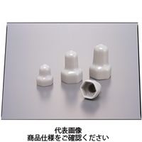岩田製作所 塗装用品 キャップE（PVC） HLEP12-B 1セット（100個:50個×2ケース）（直送品）