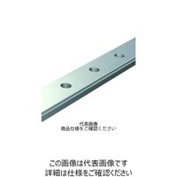 日本トムソン リニアウェイL(幅広形・トラックレール) LWLF42R80BHS1 1個（直送品）