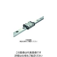 M!LK 【専用出品】 日本精工 NSK レールキャップ LGーCAP/M4 1セット(100個:20個×5