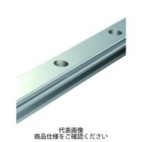 日本トムソン リニアウェイH(トラックレール) LWH20R720BHS1 1個（直送品）