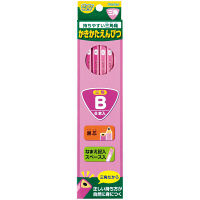 レイメイ藤井 三角かきかた鉛筆B（6本入）ピンク RE305 5個（直送品）