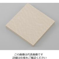 アズワン 樹脂板材 PEEK板 150mm×245mm 2mm 1個 2-9239-02（直送品）