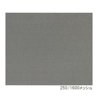 アズワン ステンレス綾畳織メッシュ（SUS316）500/3600メッシュ 1個 3-5146-02（直送品）