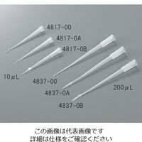 アズワン ゲル用チップ ラック入り 10μL 平 0.17mm 3-6370-03 1箱(960個)（直送品）