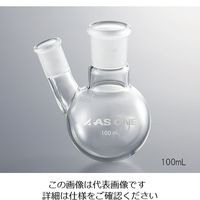 アズワン 二つ口フラスコ 500mL 側管摺合 15/25 FG2-052440-1 1個 3-6524-03（直送品）